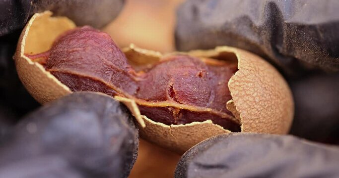 open long ripe tamarind pods close-up, ready-to-eat tamarind fruits lying on the table