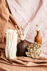 Mushrooms aesthetic. Enokitake and shimeji mushrooms as flowers, creative still life.