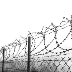 Barbed wire fence in the winter snow.