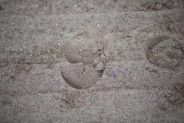 Horse hoof prints in sand