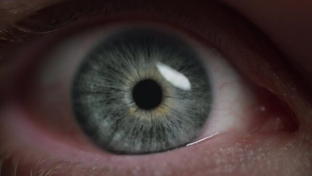 Close up of a green eye opening. Macro. Slow motion. 