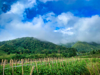 Obraz premium My trip to Indonesia