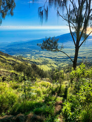 Obraz premium My trip to Indonesia