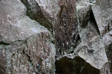 Marks of greenshield lichen on rocks. Moss and fungus on stones in mountains. Close up view of green lichen covering stones.