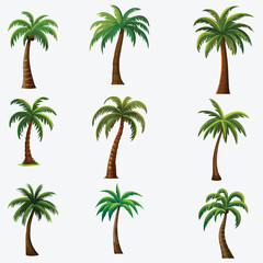Vector Collection of Palm Trees in Different Variants, Isolated on a White Background
