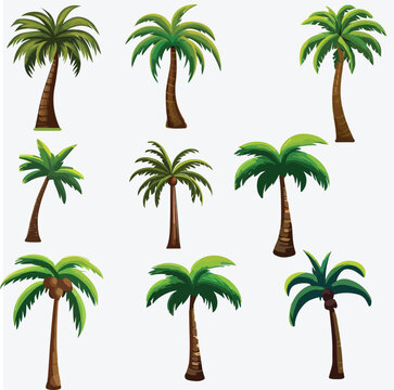 Vector Illustration Set Featuring Various Variants of Palm Trees, Isolated on a White Background