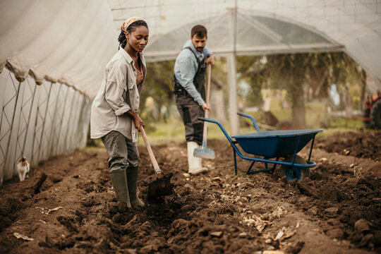 Two diverse dedicated agricultural workers using a shovel and a wheelbarrow and taking care of the soil for a new harvest season.