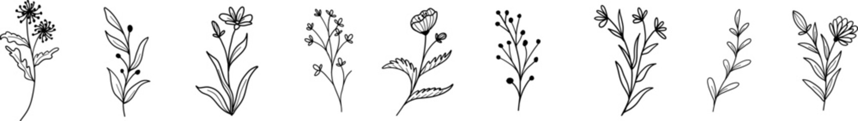 Flowers icon set. Flowers isolated on transparent background. Flowers in modern simple. Cute round flower plant nature collection.Hand drawn flower set.Flower icon collection. Vector illustration