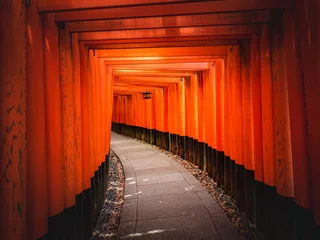 Fototapeten 【日本】京都の伏見稲荷大社の鳥居　旅行  © Akio Mic