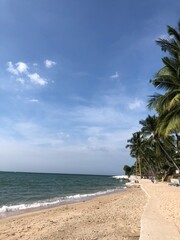 summer beach with palm trees