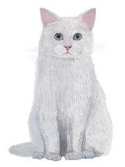 青目白猫正面お座り_リアルタッチ