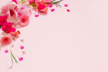 beautiful spring flowers on pink background