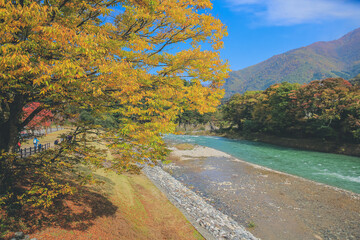 1 Nov 2013 Sho river, main river at Shirakawa village in summer.