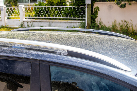 Pollen sur un toit de voiture