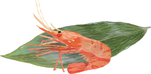 海老とバラン_リアルタッチ_横