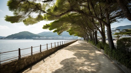 Nature's Path: Stroll Along Amanohashidate's Promenade
