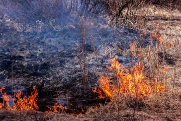 Burning grass