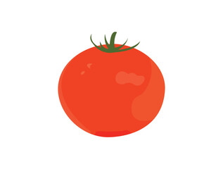 Vector illustration of fresh tomato.