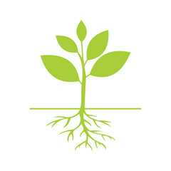 Obraz na płótnie Canvas Green plant sprout on white background