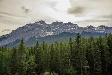 Landscape in the Rocky Mountains. amazing nature view - sharp stone mountain peaks, coniferous forest. Travel and tourism concept image, selective focus.