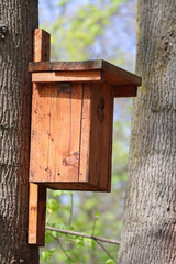 Bird feeder house on a tree in the woods