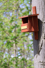 Bird feeder house on a tree in the woods