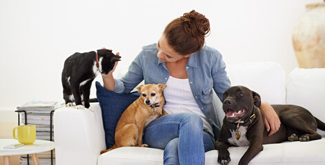 Woman, sofa and happy with pet, cat and dog for care, love and bonding in home living room, playing...