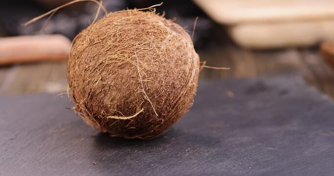 a brown coconut rotates, a close-up of an unpeeled dirty ripe coconut shell before processing and cooking