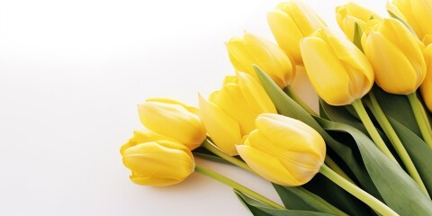Obraz premium Yellow tulips isolate on white background, generative ai