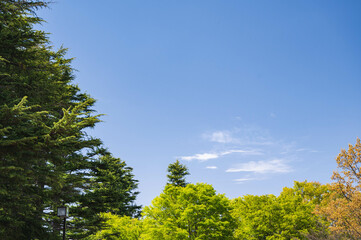 新緑の頃の風景　