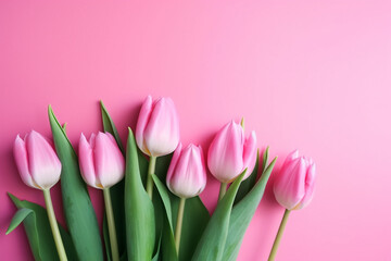 A pink tulip bouquet on pink background, Generative AI
