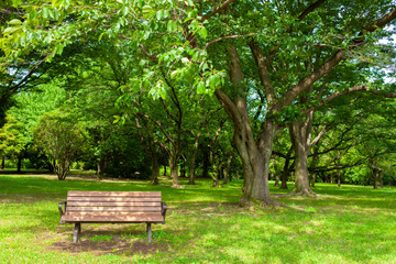 Park bench
