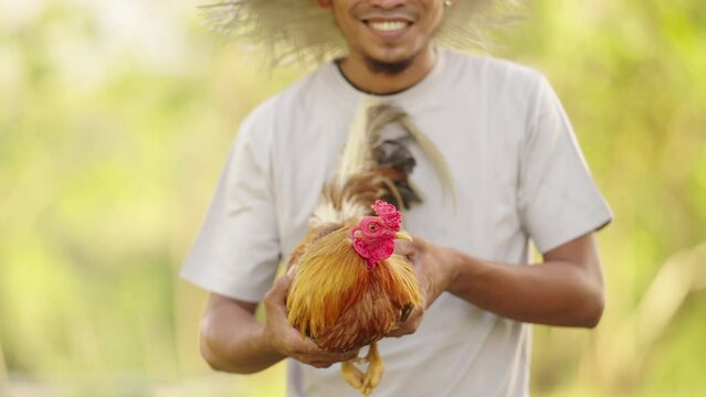 Proud Southeast Asian Man Smiles with Fighting Cock, portrait, culture heritage