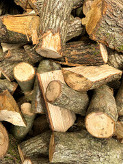 Cut pieces of wood. A large pile of firewood. Trees has been cut and split into firewood to be used as fuel for heating in fireplaces and furnaces in the. Close up