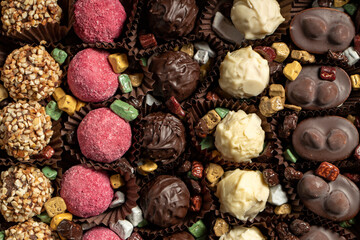Delicious truffle or praline chocolate assortment. Gourmet specialty chocolate bonbons or pralines. close up
