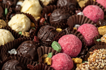 Delicious truffle or praline chocolate assortment. Gourmet specialty chocolate bonbons or pralines. close up
