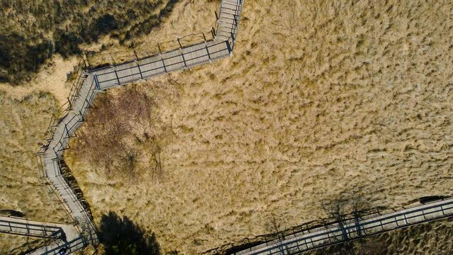 Downscreen track of the boardwalks at Kruse Park.