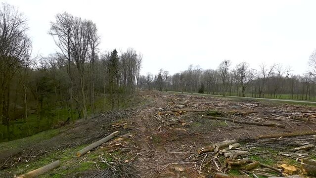 Aerial View Of Destroyed Forest Due To Logging - Deforestation Concept.