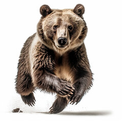 Grizzly Bear Action Shot on White Background - Made with Generative AI