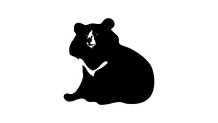 Asian black bear portrait