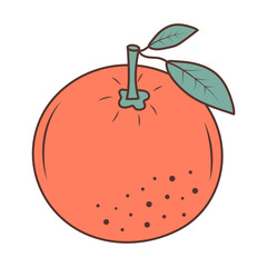 Orange with leaves. Juicy fruit. Hand drawn illustration in doodle style.