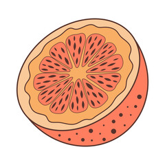 Half an orange. Juicy fruit Hand drawn illustration in doodle style.