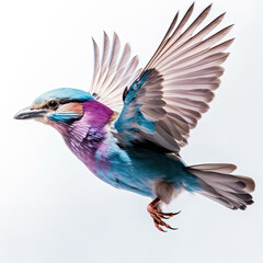 Lilac-Breasted Roller Action Shot on White Background - Made with Generative AI