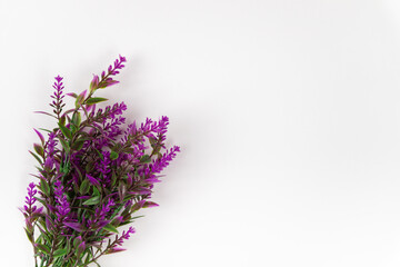 bunch of lavender, background for presentations, invitations, promotions, banners