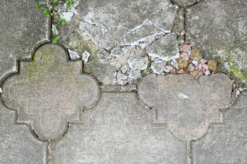 Cracked paving slabs partially covered with mold and corrosion, top view.