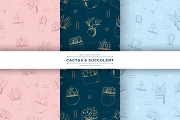 hand drawn outline cactus and succulent pattern design collection