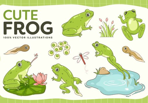 Frog Illustrations Set
