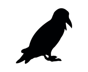Vector flat puffin silhouette isolated on white background