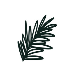 Doodle outline rosemary branch isolated on white background. Simple vector floral icon. Logo design element. Botanical leaves and branches.
