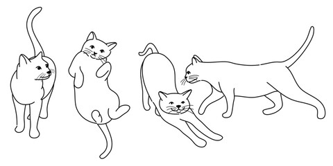 doodle Cat poses. Cartoon red fat striped cats emotions and behavior. Animal pet kitten playful, sleeping and scared. Cat body language vector set. Illustration pet cat, cute striped animal kitten
